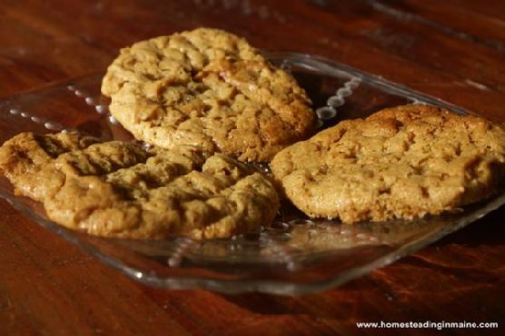 Flour-Less Peanut Butter Cookies