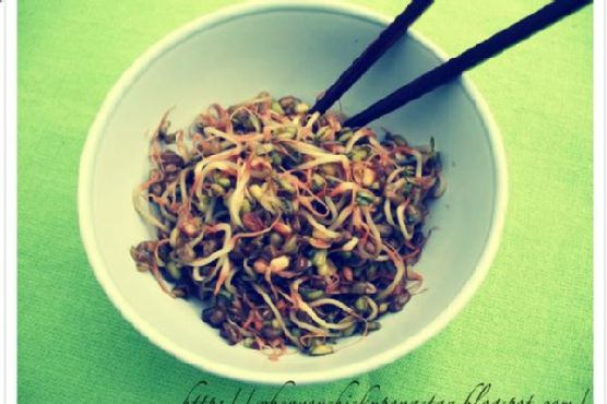 Simple Mung Bean Sprouts